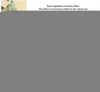 4 in 1 Portable Electric Vegetable Cutter Set